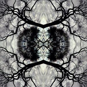 Adam Rudolph - Sonic Mandala Go: Organic Orchestra  CD